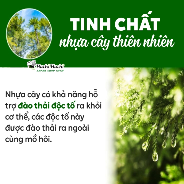 Mieng-dan-thu-gian-ban-chan-2-mieng-tinh-chat-nhua-cay-thien-nhien-(1).jpg